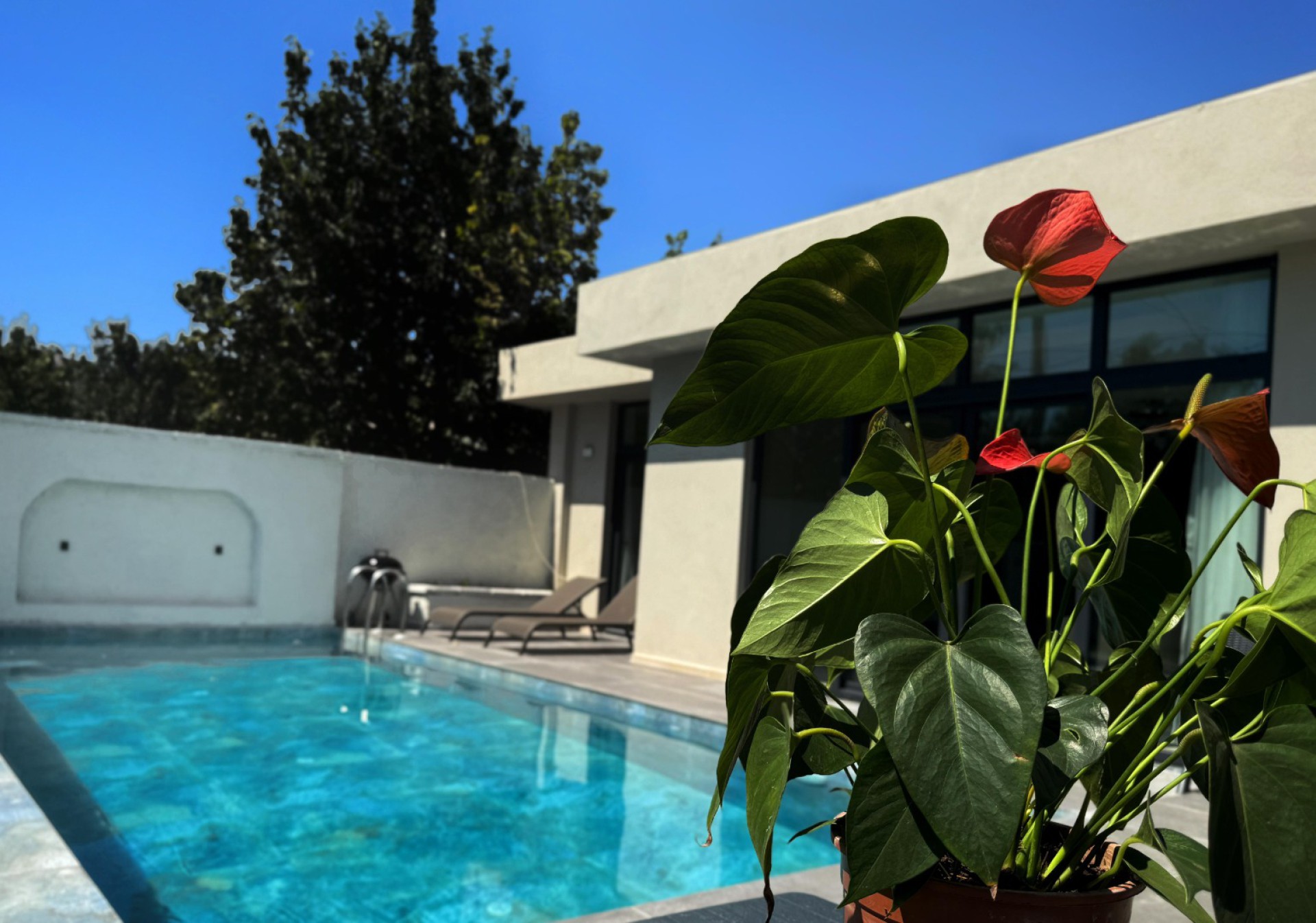 Villa Amour 4