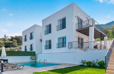 Villa Fly 2